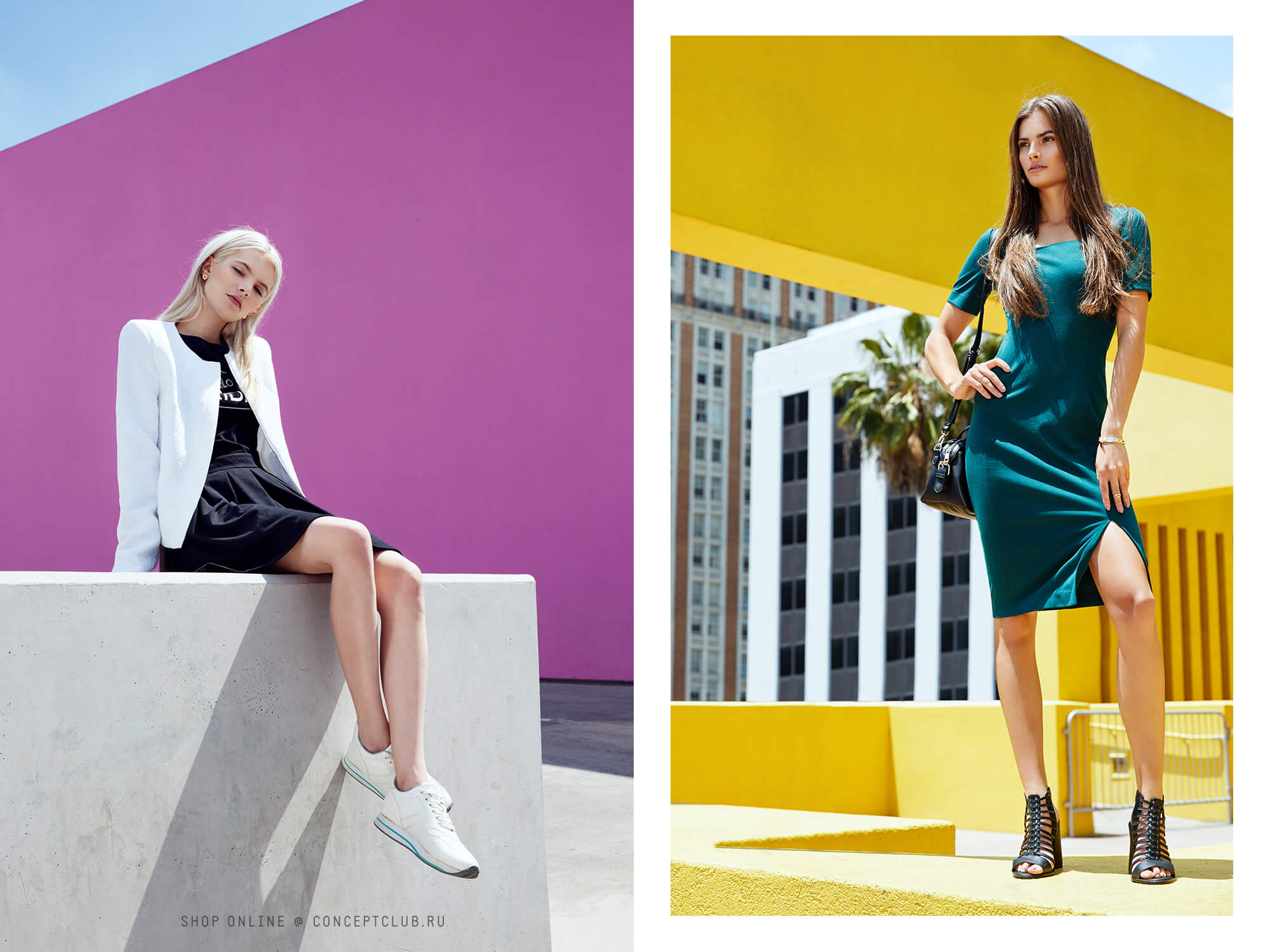 Campaign